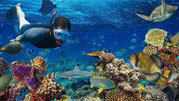 cityeventos-SanAndres5 Viaja a San Andres