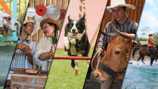 cityeventos-cat-destinos-eje-cafetero1 Viaja al Eje Cafetero