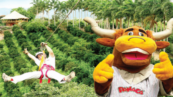 cityeventos-cat-destinos-nacionales-eje-cafetero2 Viaja al Eje Cafetero