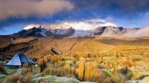 cityeventos-ecuador5 Viaja a Ecuador