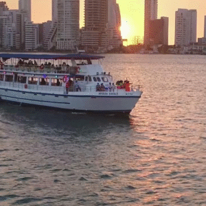 TOUR BAHIA 2 Tour Bahía