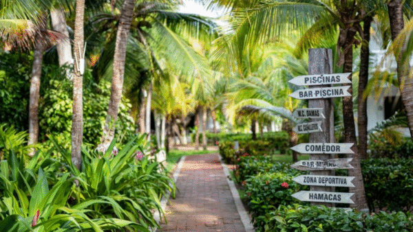 COCOLISO Isla Cocoliso