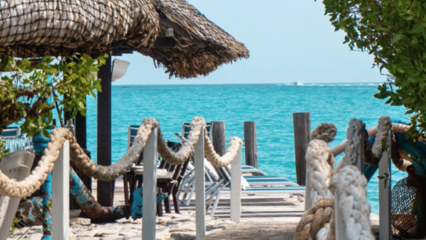 CORALINA 4 Coralina Island