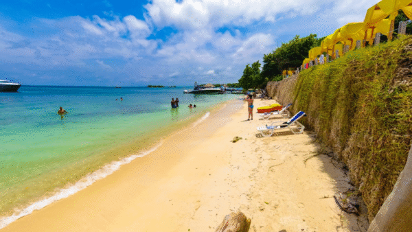 Sol y Papaya 3 Isla Sol y Papaya Clasico